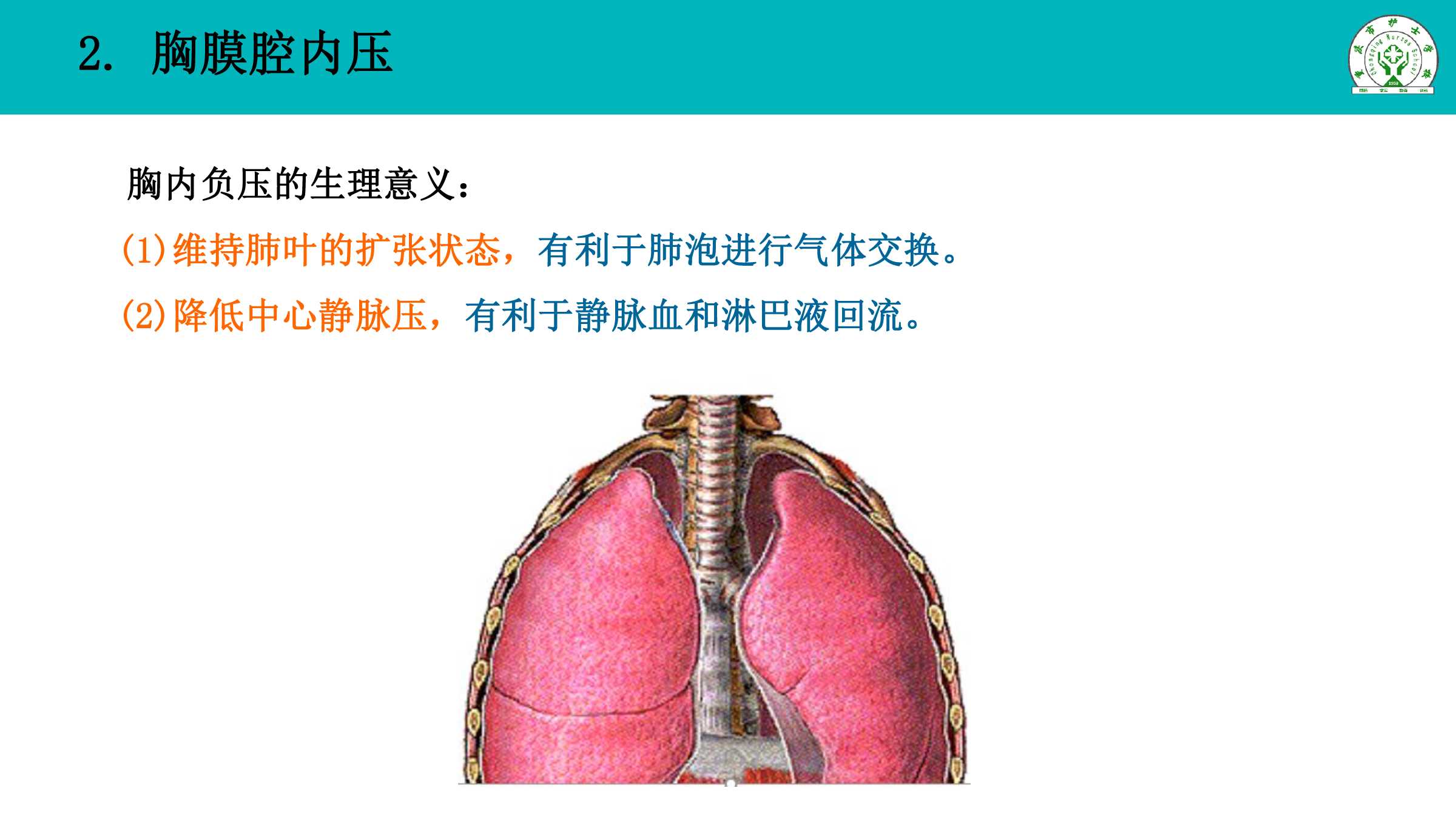 51肺通气所属课程生理学基础