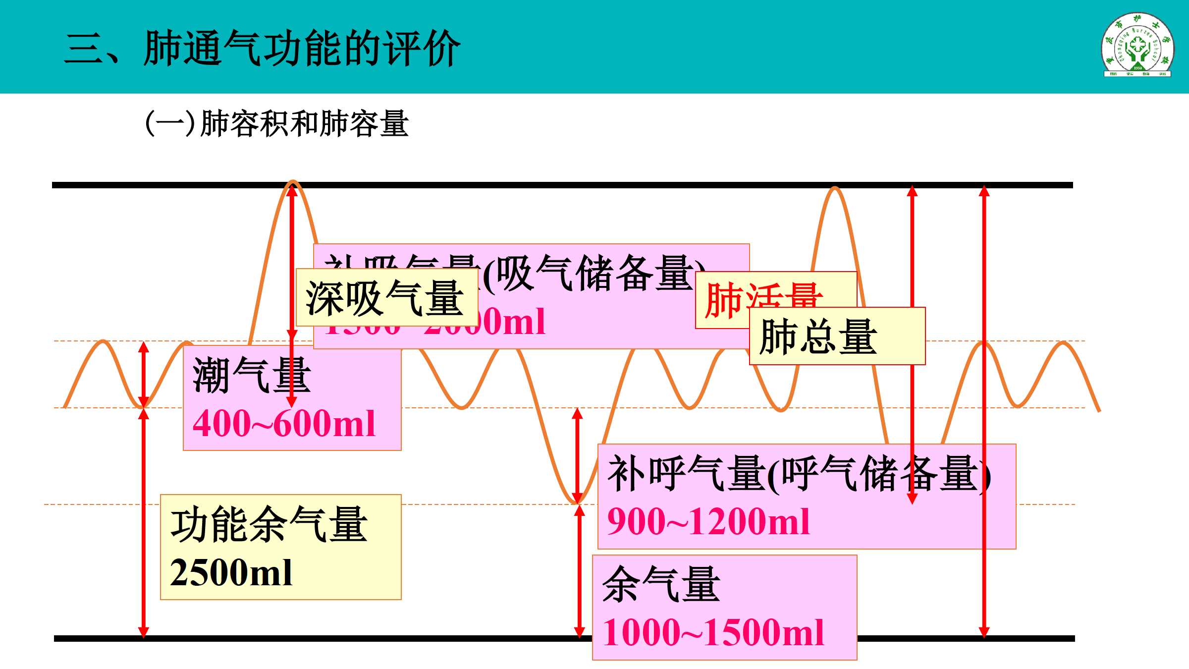 5.1 肺通气