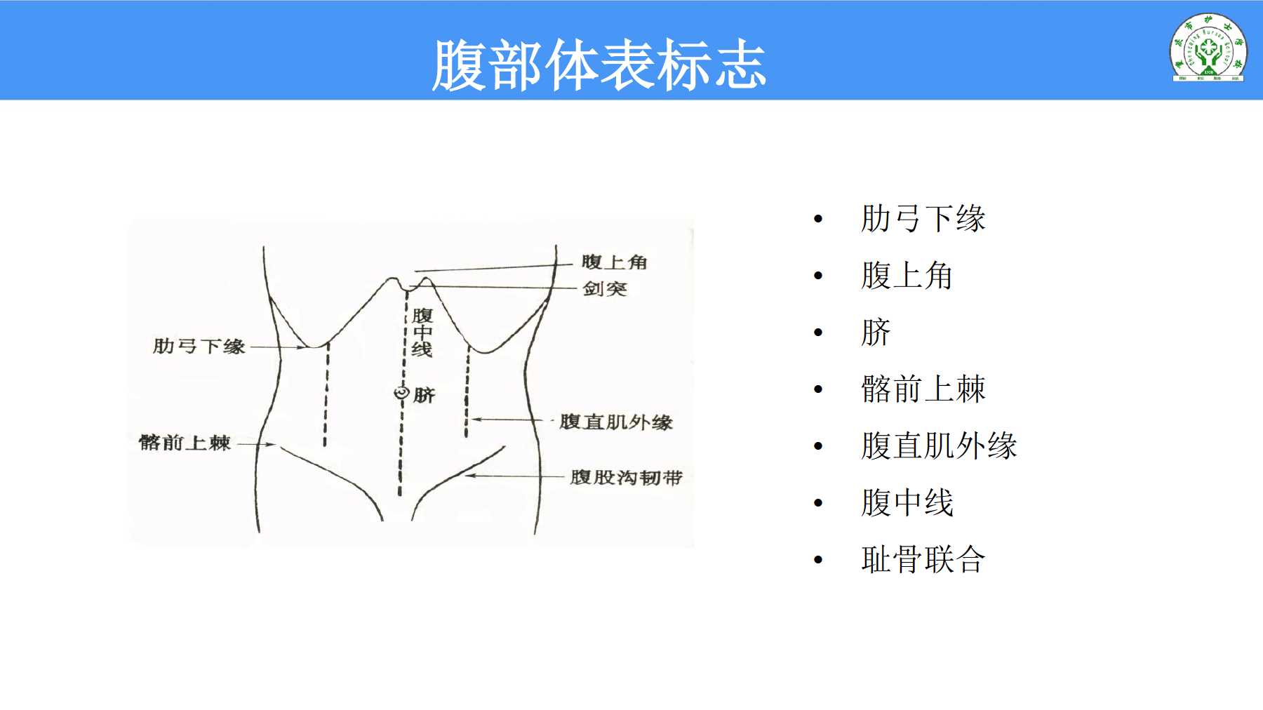 5.8 腹部评估